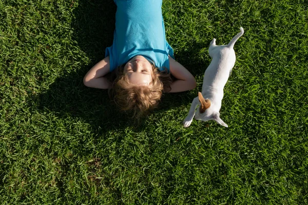 Roztomilé dítě a štěně pes leží na trávě, letní koncept, pohled shora. — Stock fotografie