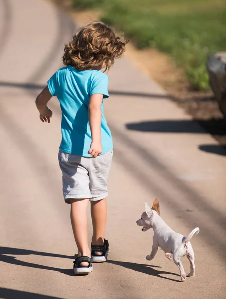 Joli gosse avec un chiot. Joyeux enfant courir avec un chien en plein air. — Photo