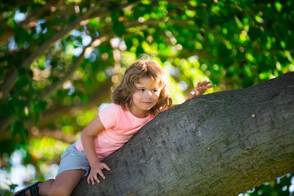 Pouco bonito criança menino Criança se divertindo e subindo na árvore na floresta de verão. — Fotografia de Stock