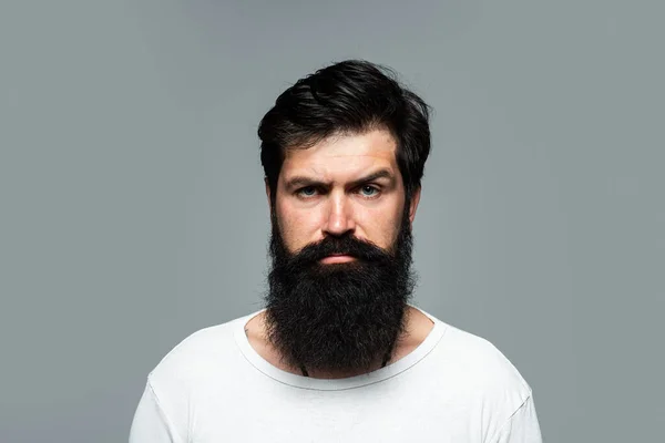 Portrait of confident serious man has beard and mustache, looks seriously, isolated. Hipster guy models in studio. Businessman thinking with expression looking. Handsome male model, closeup face.