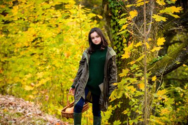Autumn Park 'ta şık giyinmiş güzel bir genç kız. Güneşli bir günde açık havada güzel bir genç.
