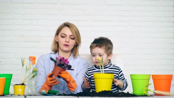 Aile işgücü kavramı. Aile yaz bitkileriyle ilgileniyor. Oğlu annesinin çiçek dikmesine yardım ediyor.. — Stok video