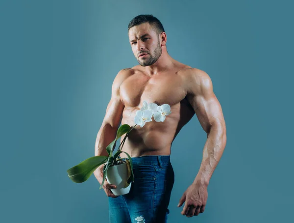 強い男は完璧な裸の体を示す蘭を保持しています。裸の胴だ。若いです熱いです裸男のファッション肖像. — ストック写真