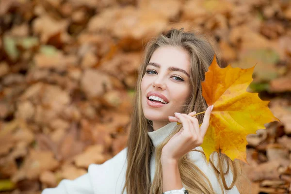 Feliz sorrindo mulher segurando em suas mãos amarelo bordo folhas sobre outono fundo. — Fotografia de Stock