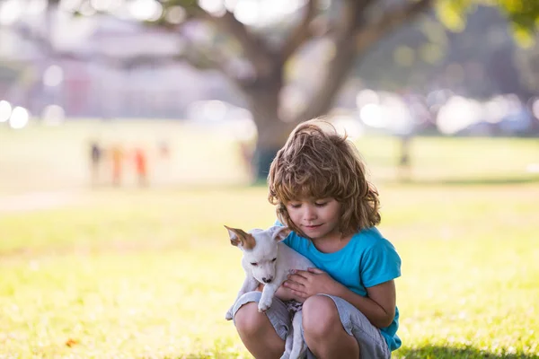 Cute kid boy feels delighted, carries little puppy dog, expresses tender emotions, Child care and love to small doggy. Tenderness friends hugs. — Stock Photo, Image