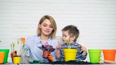 Aile işgücü kavramı. Aile yaz bitkileriyle ilgileniyor..