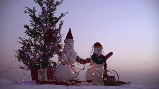 Deux bonhommes de neige - Un couple charmant. Un bonhomme de neige en écharpe. Joyeux Noël — Video