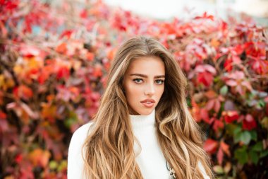 Sonbahar güzeli. Kadın modası dışarıda sonbahar akçaağaç yapraklı wodel.