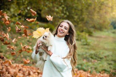 Güzel bir kadın güz parkında küçük bir köpekle eğleniyor. Duygusal destek.