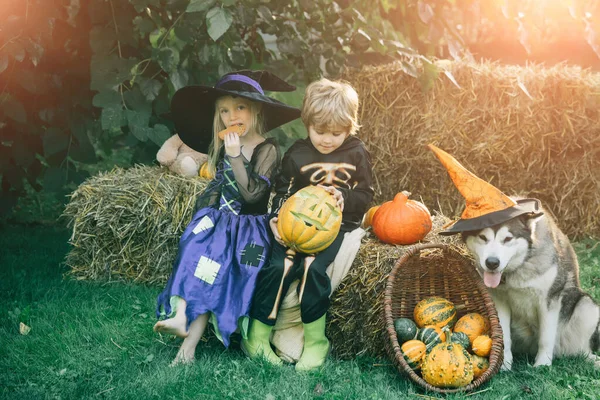 Halloween jelenet aranyos gyerekekkel. Gyerekek húga és testvére tök öltözött csontváz és boszorkány Halloween party. — Stock Fotó