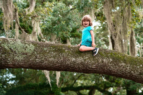Страховые дети. Ребенок сидит на ветке дерева. Милый мальчик залезает на дерево. — стоковое фото