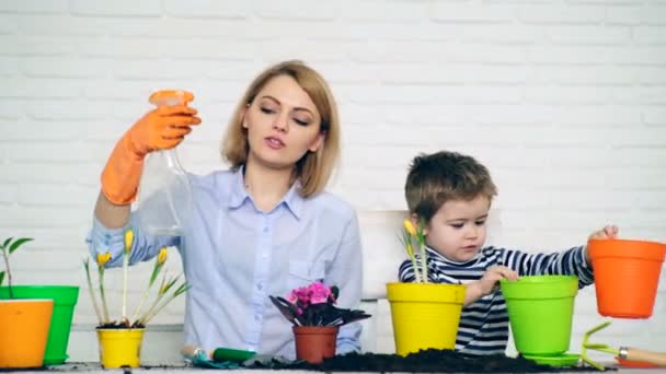 Concepto de trabajo. Un niño pequeño ayuda a mamá a cuidar las flores de verano. — Vídeo de stock