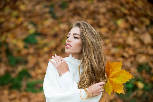 Foto all'aperto di giovane bella ragazza circondato foglie di autunno. — Foto Stock