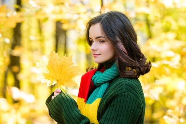 Kırmızı sarı yapraklı sonbahar gençliği. Sonbahar yapraklı genç bir kızın portresi. Yaprakların önünde.. — Stok fotoğraf