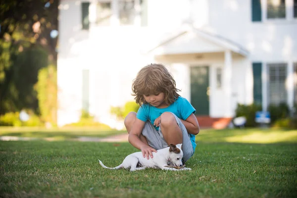 Lindo niño jugando con chihuahua perro mixto acostado en el césped del patio trasero. —  Fotos de Stock