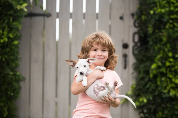 Embrace friends. Kid boy took puppy from shelter. Adopted animal. Small cute pet finds home. Puppy gratefully licks a boys face. Happy child with funny emotions. — Stock Photo, Image