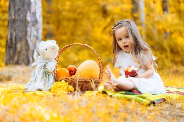 Sonbahar parkında piknik yapan bir çocuk. Doğada güzel sonbahar zamanı.