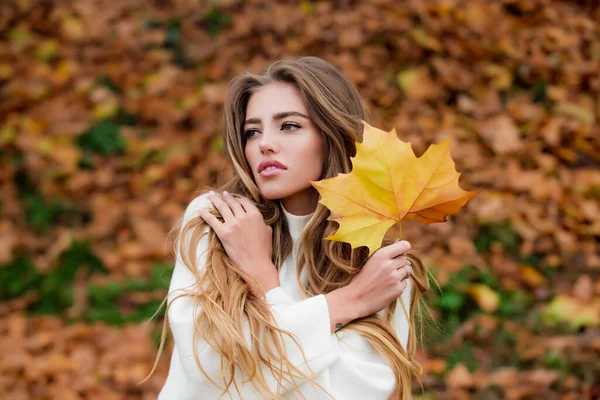 Retrato de moda de jovem mulher ao ar livre no outono. — Fotografia de Stock