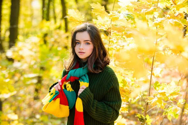 Tiener meisje het hebben van plezier in de herfst park buiten. — Stockfoto