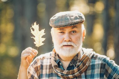 Sonbaharda yaşlı bir vatandaş parkta geziniyor. Dışarıda parkta yürüyen yaşlı bir adamın portresi. Dışarıda parkta yürüyen yaşlı bir adamın portresi..