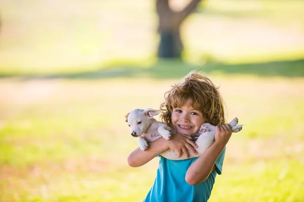 O menino bonito da criança sente-se encantado, carrega o cãozinho pequeno, expressa emoções ternas, cuidado e amor ao cãozinho pequeno. Ternura amigos abraços. — Fotografia de Stock