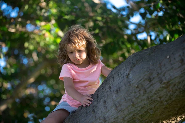 Ένα παιδί σκαρφαλώνει σε ένα δάσος. Παιδί που παίζει σε πάρκο και σκαρφαλώνει σε δέντρο. — Φωτογραφία Αρχείου