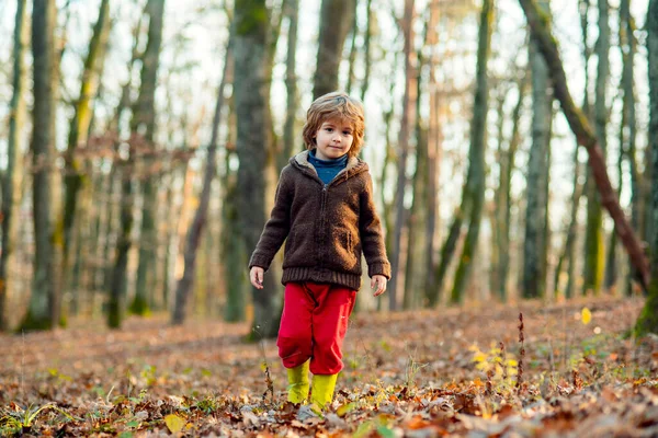 Niño en un paseo en el parque de otoño. — Foto de Stock