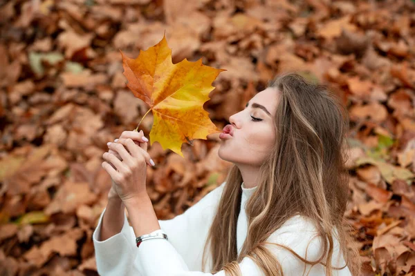 Beleza de outono. Mulher moda wodel com queda folha de bordo ao ar livre. — Fotografia de Stock