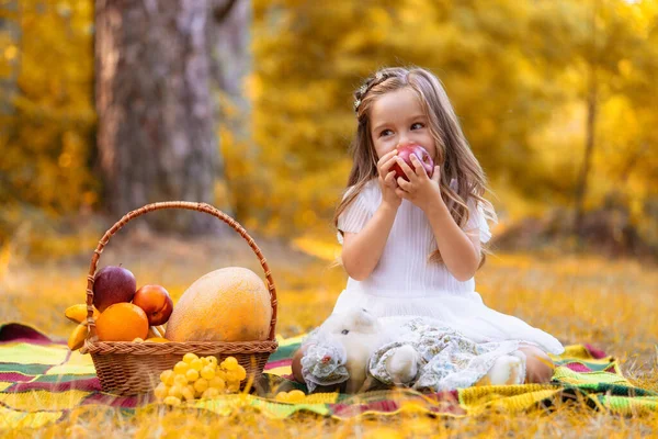 Joyeux petits enfants cueillant des pommes dans le jardin. Temps chaud et ensoleillé. drôle peu préscolaire enfant avoir amusant avec aider et récolte. — Photo