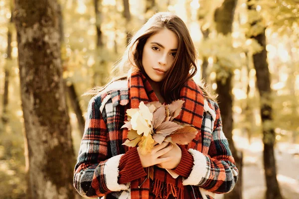 Beautiful young happy girl with a bright red-yellow leaf in the park. Yellow Trees and Leaves. Autumn Park. — Stock Photo, Image