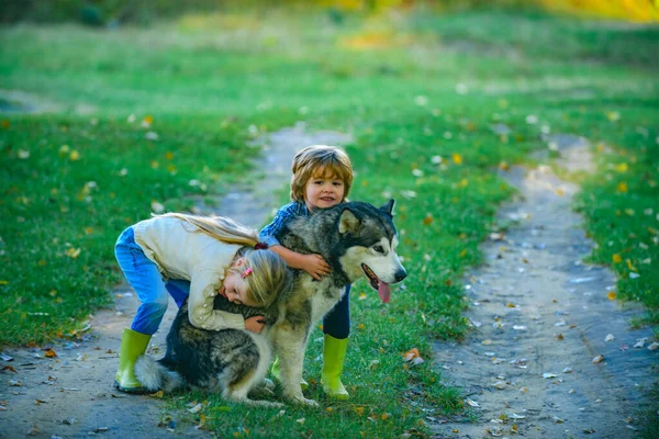Feliz infância. Crianças se divertindo animal de estimação cão em campo contra o fundo da natureza. Cão e crianças engraçadas desfrutando juntos ao ar livre. Romântico e amor. Infância doce. — Fotografia de Stock