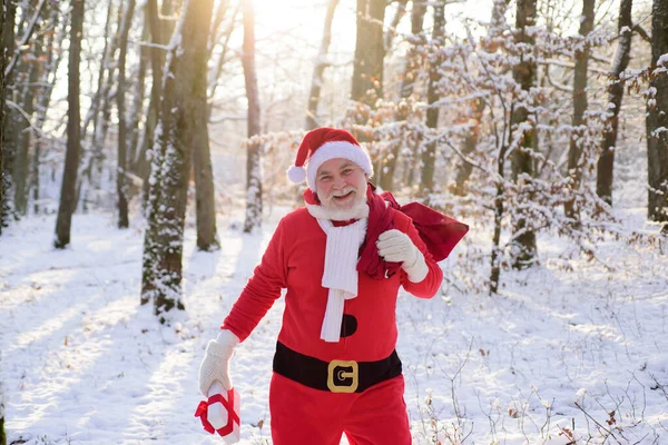 サンタクロースの贈り物、雪の風景の袋で冬の森に歩いてください。明けましておめでとうございます。雪とクリスマスの時間. — ストック写真