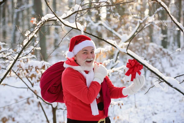 Père Noël tenir cadeau de Noël et marcher dans la forêt de montagnes d'hiver dans la neige. — Photo