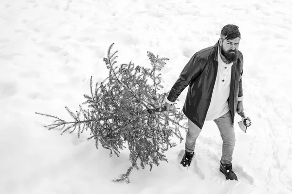 Santa en el parque de invierno. Lumberjack Santa de pie con hacha en el fondo del bosque. Abeto de Santa Lumberjack en el fondo blanco de la nieve. —  Fotos de Stock