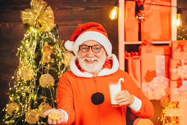 Portret brodatego śmiesznego mężczyzny w stroju Mikołaja. Wesołych Świąt i szczęśliwego Nowego Roku. Santa gospodarstwa cookie i szklanki mleka na tle choinki. — Zdjęcie stockowe