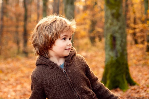 가을 공원을 걷고 있는 행복 한 소년. — 스톡 사진