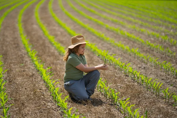 Eko çiftliği. Çocuk çevre dostu mısır tarlasında. Yeşil ekosistemde tarım. Eko tarım konsepti. Çocuklu organik tarım arazisi. Çevre ekolojik kavramı. Çocuk çiftçiliği. Çocuklar bakım ortamı
