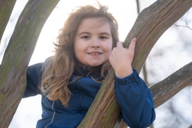 Ağaçta asılı duran bir çocuk. Parktaki ağaçlara tırmanan bir çocuk. Ağaç gövdesine sarılan mutlu çocuk. Ağaç ormanındaki çocuk. Çocuk bir ağaç dalında oynuyor. Ağaç dalına tırmanan gülümseyen çocuk