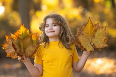 Sonbahar sonbaharı ve güzel çocuk portresi. Sonbahar portakal yapraklı küçük çocuk, açık hava portresi. Sonbahar parkında güz yapraklı komik çocuk suratı. Çocuk tutacağı düşen yapraklar. Çocukların açık hava portresi