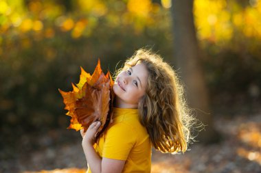 Sonbahar Çocuk Portresi Sonbahar Sarı Yaprakları. Güzel Sonbahar Parkı 'ndaki küçük çocuk. Çocuklar sonbahar parkında oynarlar. Çocuklar sarı yaprakları tutar. Meşe ve akçaağaç yaprağı olan çocuk. Sonbahar yeşilliği