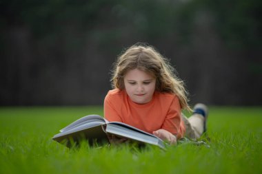Çimlerin üzerinde kitap okuyan bir çocuk. Çocuk açık havada kitap okumuş. Güneşli bir günde çayırda kitap okuyan bir çocuk. Doğada okumak. Kitabı olan bir öğrenci. Çocuk dışarıda öğreniyor. Çocuklar hikaye okuyor.