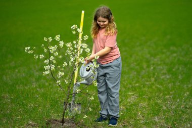 Bahçe bahçesinde çocuk bahçıvanı ağaç dikiyor. Bitkilerin bahar etkinliği. Çocuk kürek ve su bidonuyla çalışıyor. Çocuk meyve ağacı dikmiş. Bahçıvan çocuklar. Çocuk yetiştirme bitkisi ve ağaç bakımı