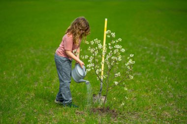 Child planting a tree in garden. Kids grow up fruit tree. Kid gardener with shovel. Child work in orchard with blooming trees. Children planting trees in backyard. Young farmer caring for trees