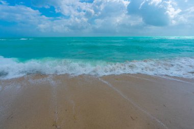Tropik sahil şeridi. Egzotik deniz plajı. Köpüklü deniz dalgaları. Güneşli deniz plajı tatili. Deniz kıyısı tatili