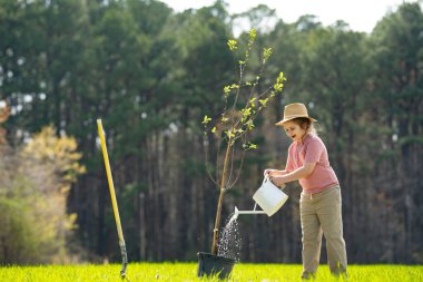 Bahar tarlasında çocuk dikme ağacı. Sulama kovası ve kürekle ekmek. Bahçe çiftliğinde ağaç yetiştiren çocuk. Çocuk işi