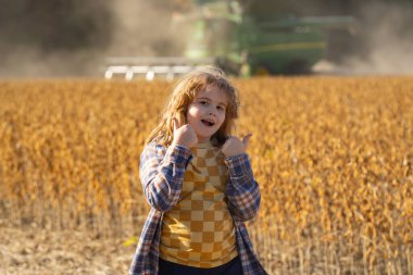 Buğday tarlasında bir çocuk. Çiftlik arazisindeki küçük çiftçi. Kırsal kesimde bir çocuk. Altın buğday tarlasında bir çocuk. Hasat mevsimi. Kırsal alan, tarladaki çocuk. Çiftlikteki çocuk. Çocuk tarlalarda yürüyor