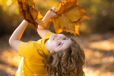 Sonbahar Çocuk Yüzü. Çocuk Sonbahar Sarı Yaprakları 'nı tutuyor. Güzel Sonbahar Parkı 'ndaki küçük çocuk. Çocuklar sonbahar parkında oynarlar. Akçaağaç yaprağı olan çocuk. Düşen yapraklar. Çocuklar sonbaharda yüzleşir. Yakın plan.