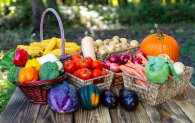 Meyve ve sebze hasat et. Yeşil arka planda doğal olarak büyüyen sebzeler. Tahta bir sepetin içinde taze meyve ve sebze hasadı. Taze mevsimlik hasat