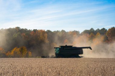 Yaz hasadı. Hasat buğdaylı tarlalar. Buğday tarlasında hasatçıyı birleştir. Kırsal kesimlerde hasat. Hasat makinelerini birleştirin. Hasat makinesini iş yerinde birleştirin. Kırsal alanda hasat var.
