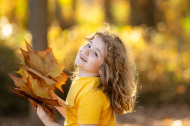Sonbahar sonbahar parkında çocuk portresi. Küçük çocuk sonbahar yapraklarını, açık hava portresini tutar. Sonbahar parkında sonbahar yapraklı şirin bir çocuk yüzü. Çocuk tutacağı düşen yapraklar. Çocukların açık hava portresi
